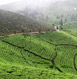 Darjeeling Tour Packages